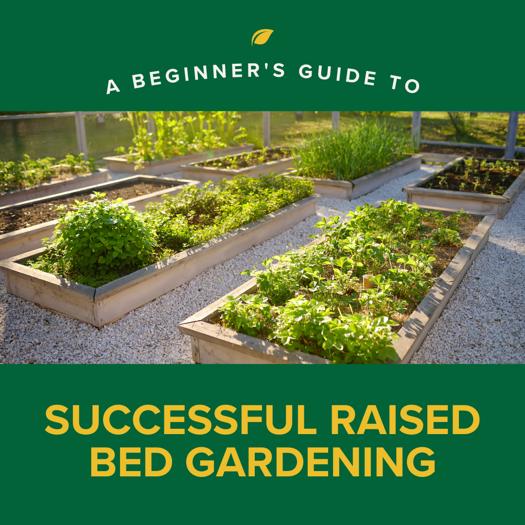 Espoma | Growing Joy with Maria – Episode 120 Blog: Raised Bed Gardening