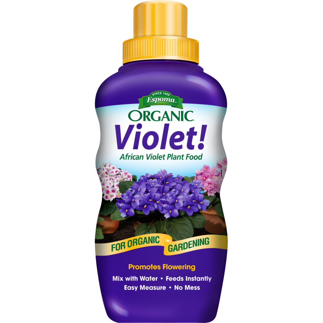 Violet!