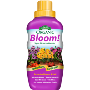 Bloom!