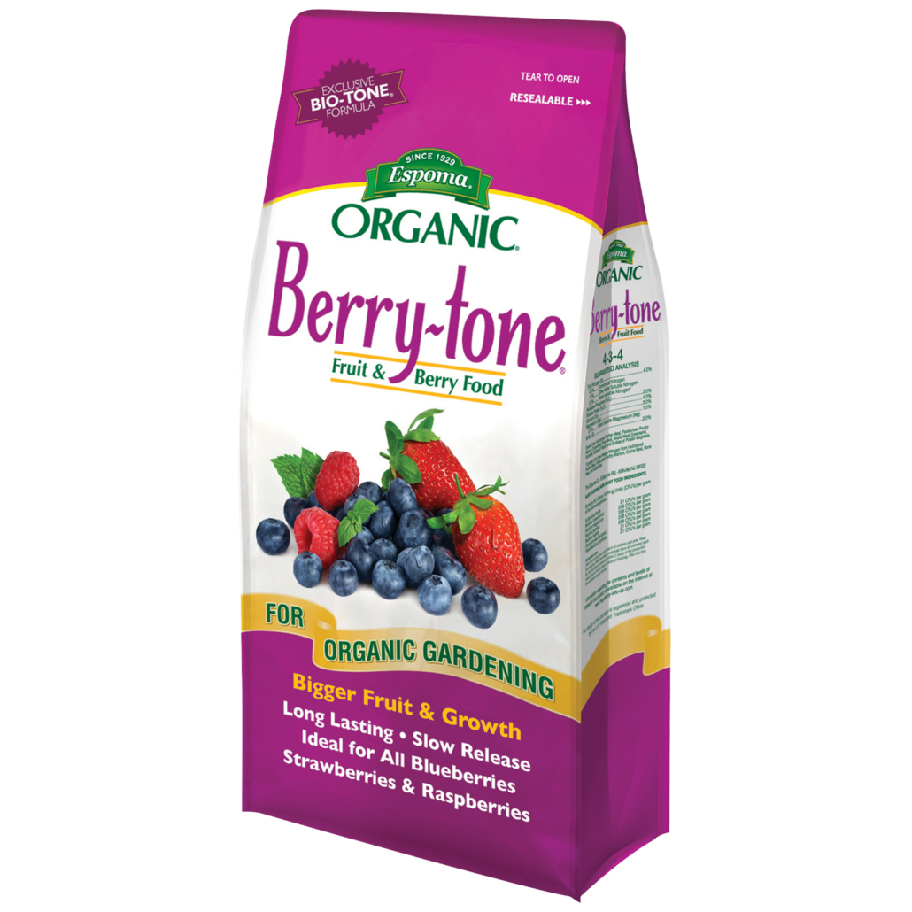 Berry-tone