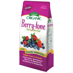 Berry-tone