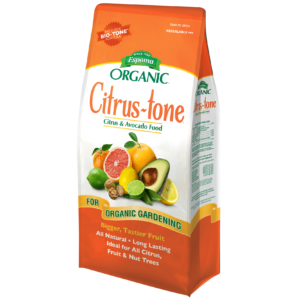Citrus-tone