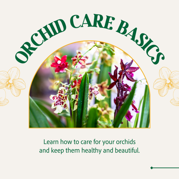 Copy of Espoma – Orchid Care