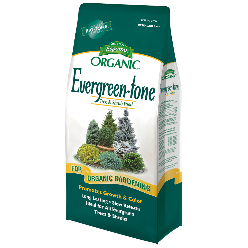 Evergreen-tone