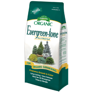 Evergreen-tone