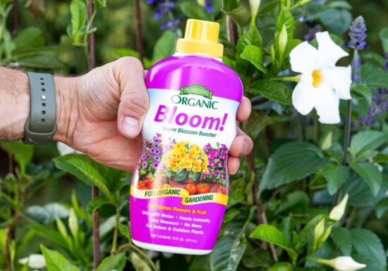 Espoma Organic Bloom! Super Blossom Bloomer