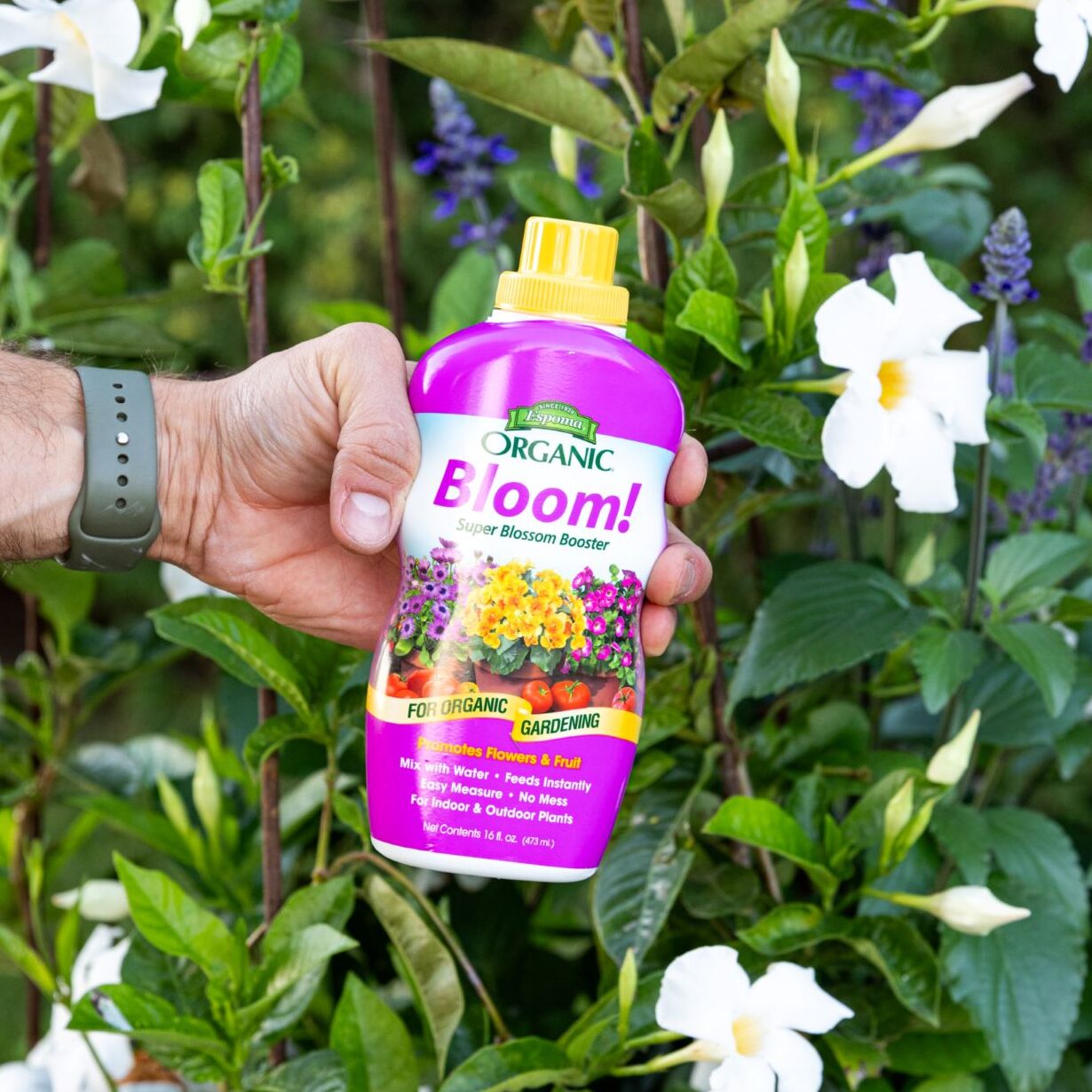 VIDEO: Boosting Blooms with Wyse Guide ?? - Espoma Organic