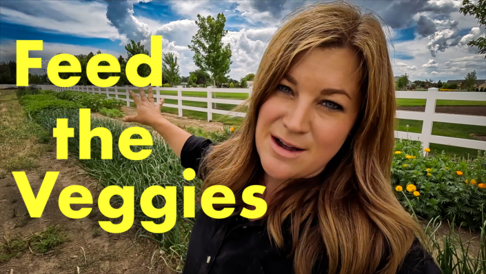 Fertilizing the Vegetables