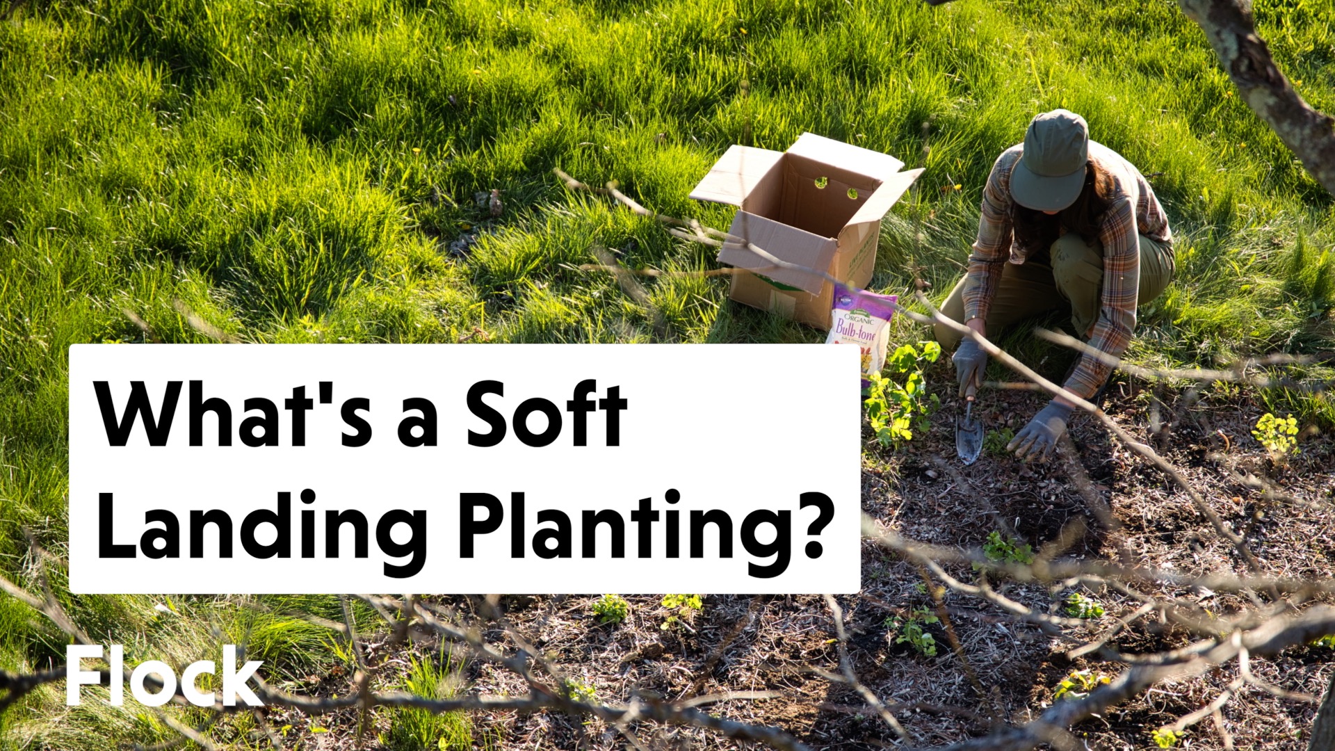 VIDEO Soft Landing Plantings 🌳🌷🦋with Flock Finger Lakes! Espoma