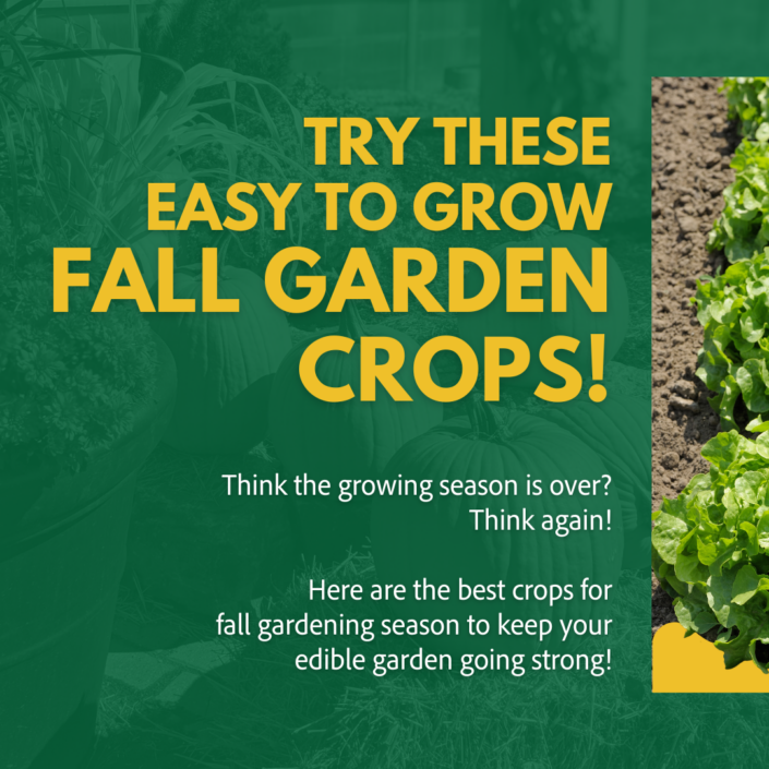 Espoma – Fall Gardening Tips Fall Crops