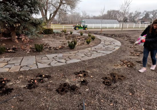Laura from Garden Answer adding Flower-tone to one of her garden beds