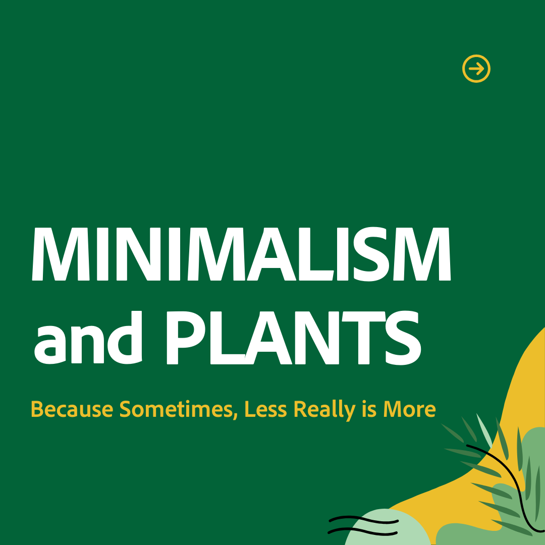 Growing Joy with Maria Blog: Minimalism and Plants