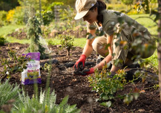 planting with organic fertilizer