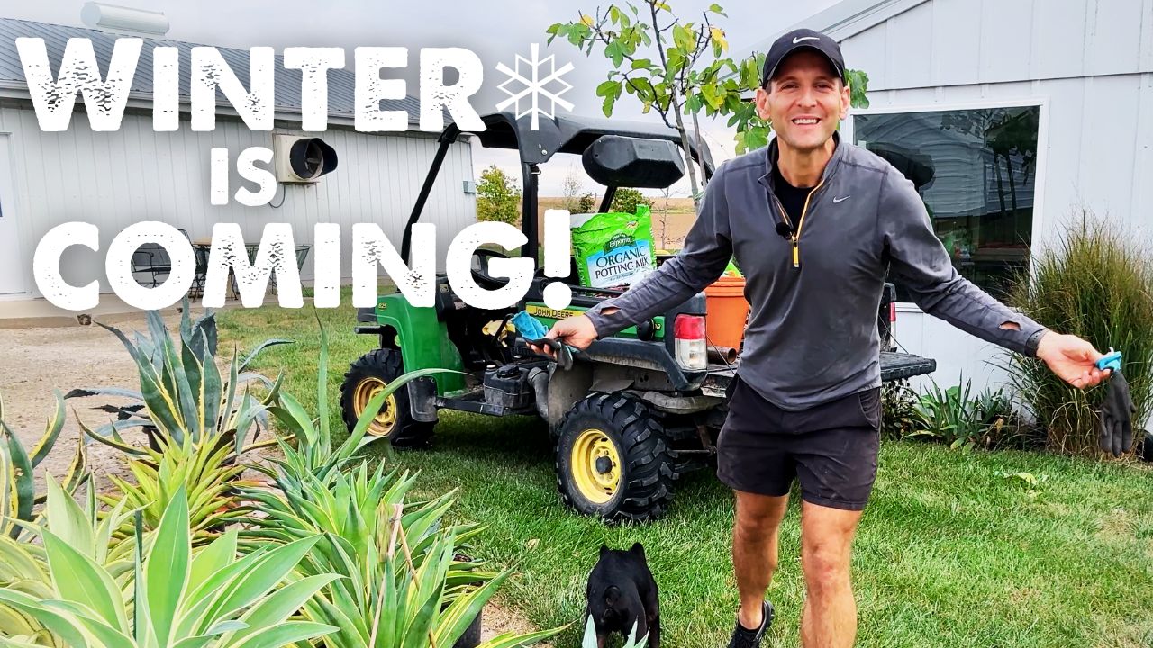 VIDEO: Prepare Your Plants for Winter Storage with Wyse Guide!