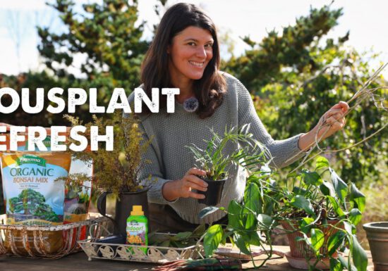 Summer Rayne Oakes with Espoma products and houseplants