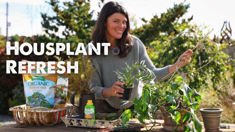 Summer Rayne Oakes with Espoma products and houseplants