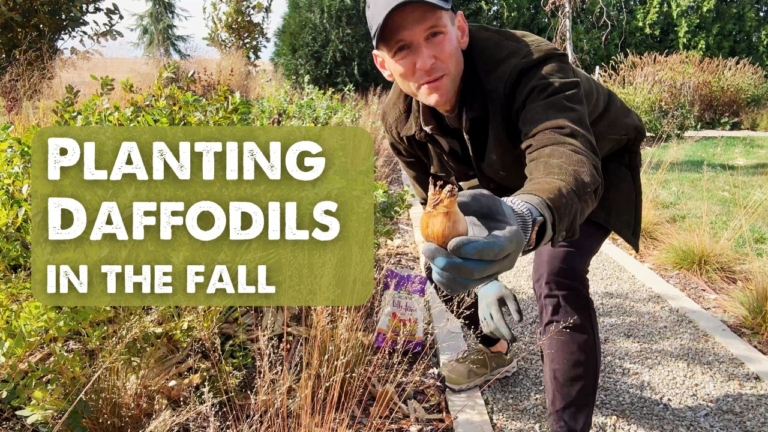 Kaleb Wyse showing a daffodil bulb