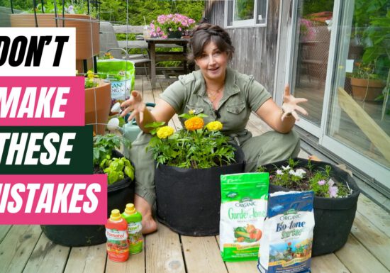 Growing Joy with Maria - 6 patio/container garden mistakes