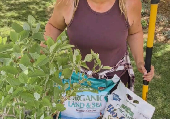 Skye Hamilton getting ready to plant hydrangeas.