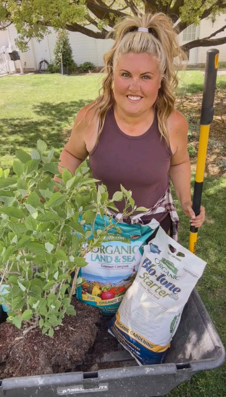 Skye Hamilton getting ready to plant hydrangeas.