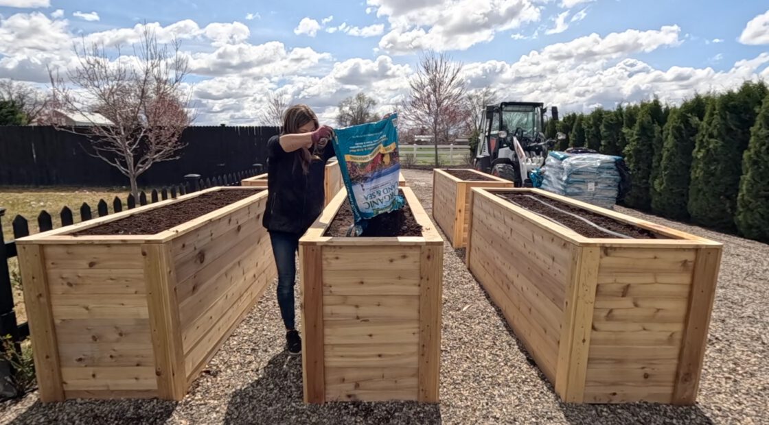 Garden Answer Planting raised beds with Espoma Organic Land & Sea Compost