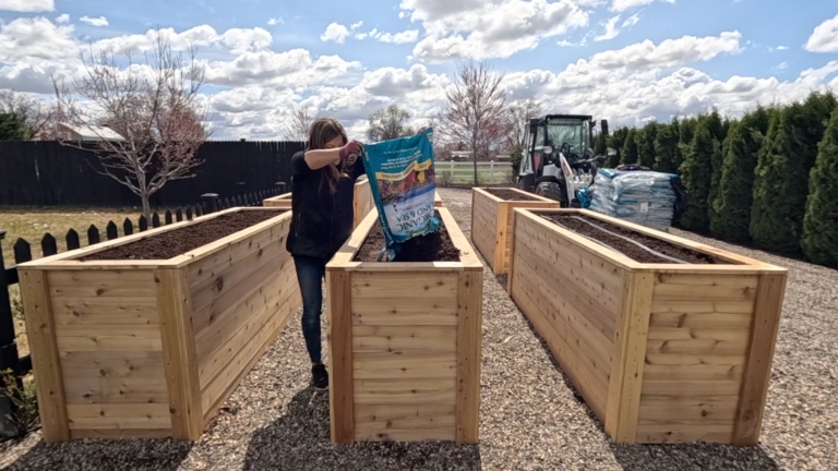 Garden Answer Planting raised beds with Espoma Organic Land & Sea Compost