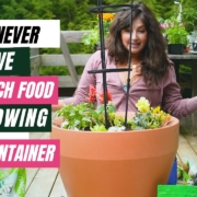 Maria Failla - growing plants
