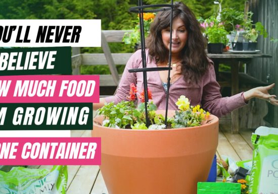 Maria Failla - growing plants