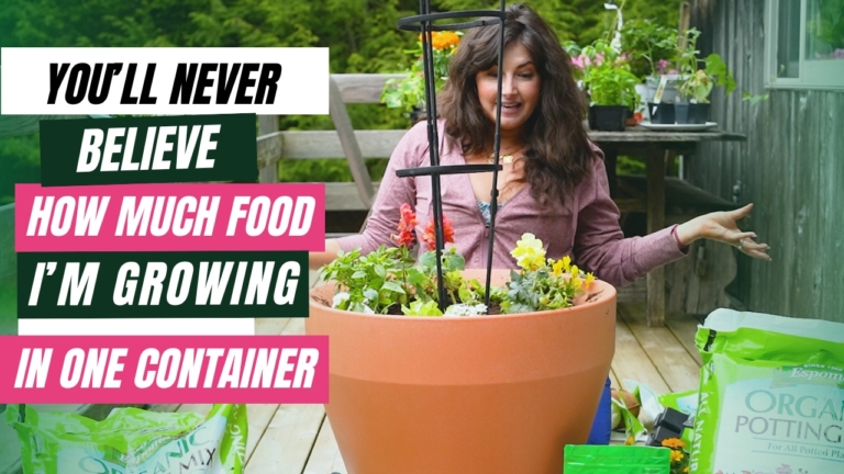 Maria Failla - growing plants