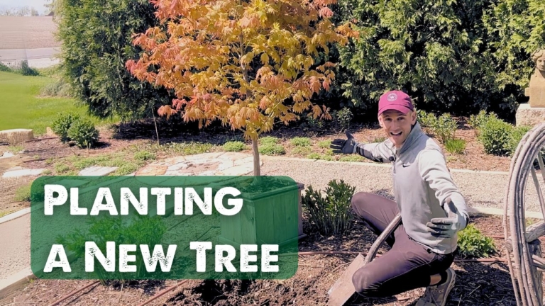 Kaleb Wyse planting a new tree