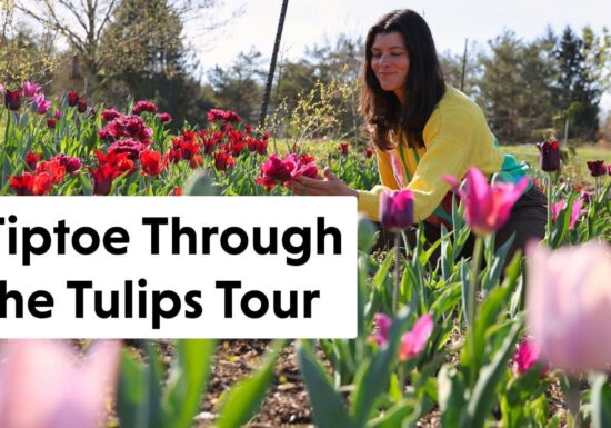 Summer Rayne Oakes in her tulip garden