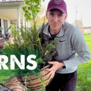 Kaleb Wyse planting ferns