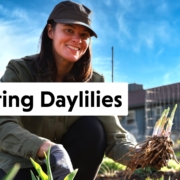 Summer Rayne Oakes with Daylilies