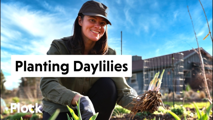 Summer Rayne Oakes with Daylilies