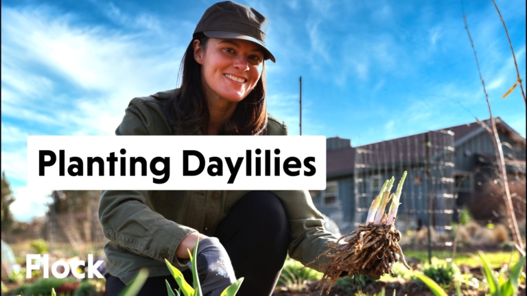 Summer Rayne Oakes with Daylilies