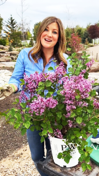 Laura from Garden Answer planting a lilac bush