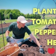 Kaleb Wyse planting in a raised garden bed