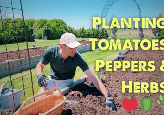 Kaleb Wyse planting in a raised garden bed