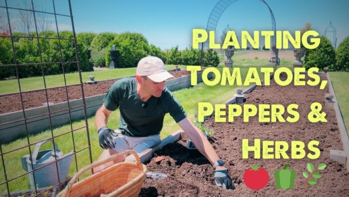 Kaleb Wyse planting in a raised garden bed
