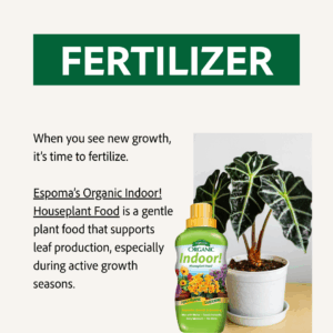 Fertilizer with Espoma Organic Indoor! liquid plant food