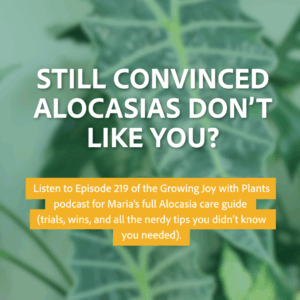 Listen to episode 209 of the Growing Joy with Maria Podcast