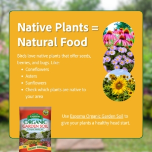 Native plants = natural food for birds in the garden