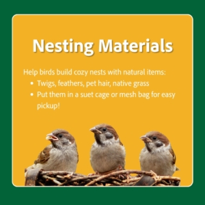 add nesting materials for birds in your garden