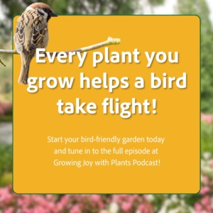 start your bird friendly garden today