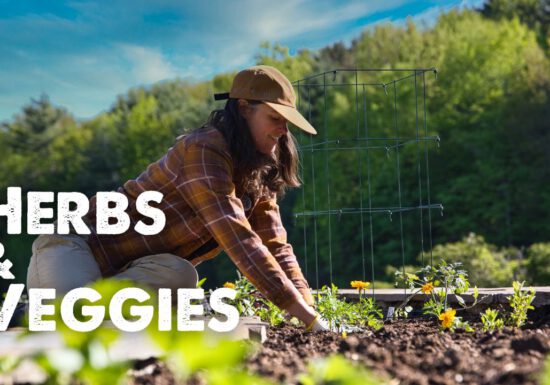 Summer Rayne Oakes in her veggie garden