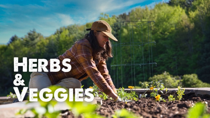 Summer Rayne Oakes in her veggie garden