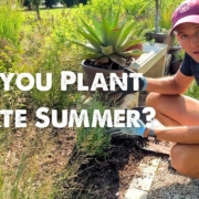 Kaleb Wyse planting plants in late summer