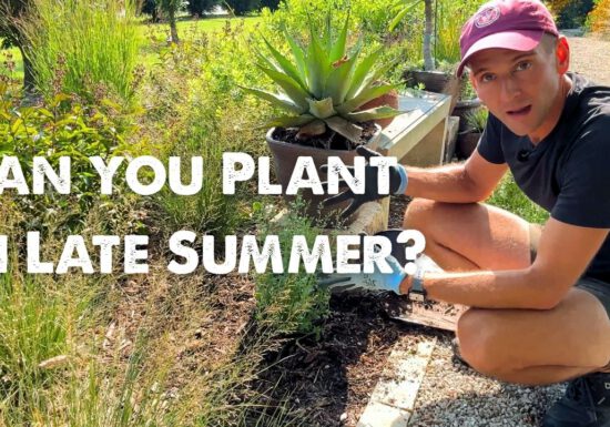 Kaleb Wyse planting plants in late summer