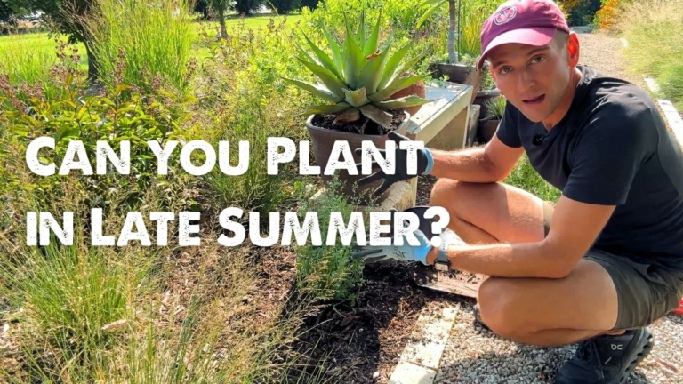 Kaleb Wyse planting plants in late summer