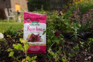 Espoma Organic Rose-tone in a garden 